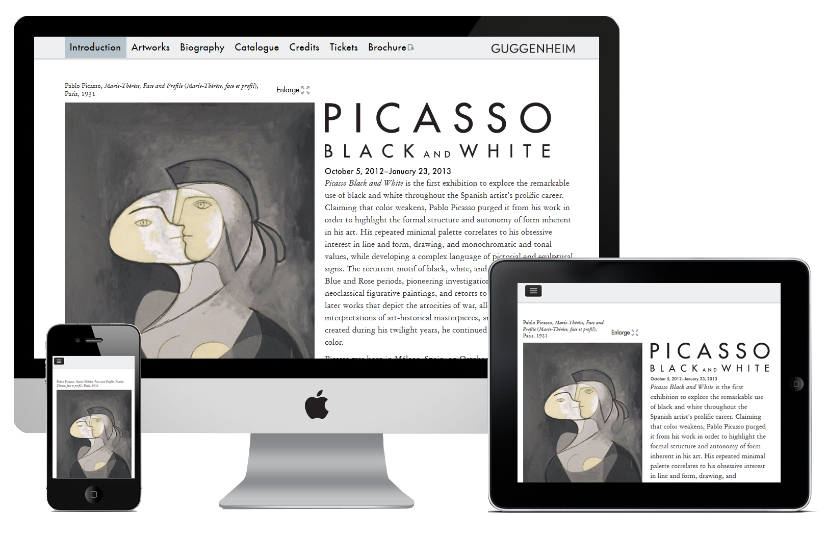Picasso Black and White: exhibition site